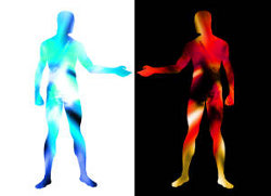 Sistema articular do corpo humano pdf